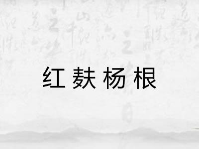 红麸杨根 红麸杨根