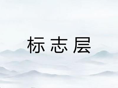 标志层