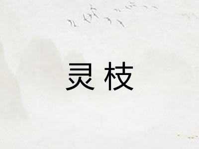 灵枝 灵枝