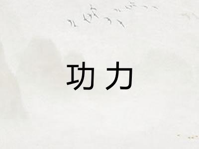 功力 功力