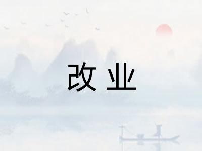 改业