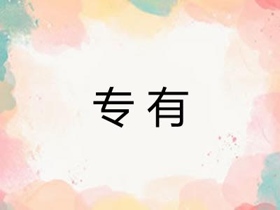专有 专有