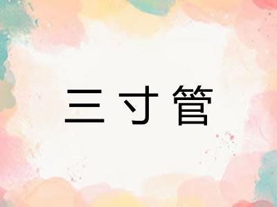 三寸管 三寸管