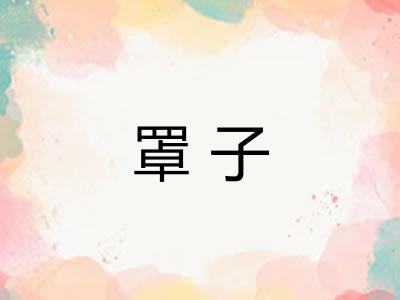 罩子