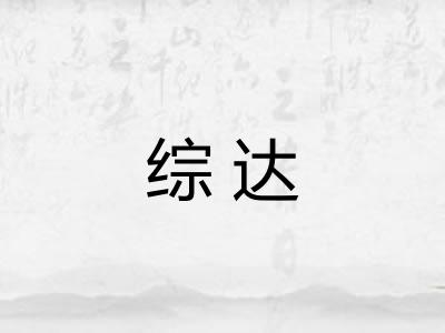 综达 综达