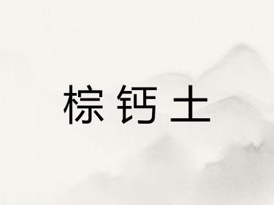 棕钙土 棕钙土