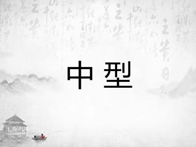 中型 中型