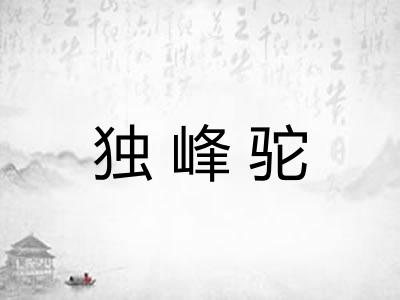 独峰驼