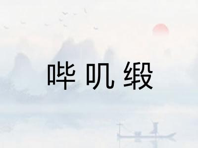 哔叽缎