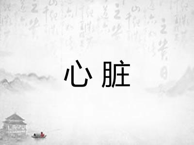 心脏 心脏