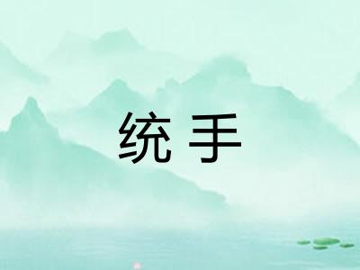 统手