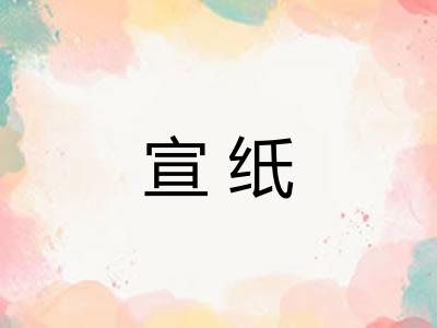 宣纸 宣纸