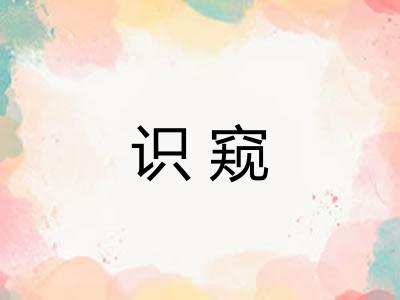 识窥