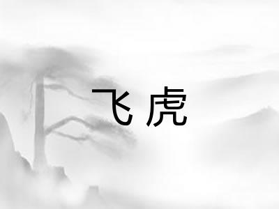 飞虎 飞虎