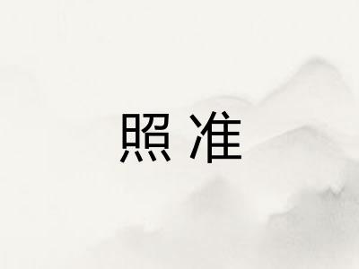 照准