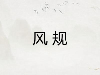 风规