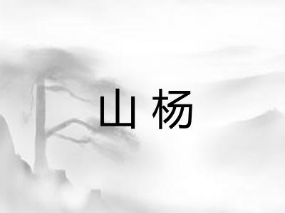 山杨