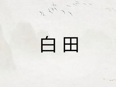 白田 白田