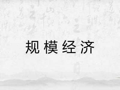 规模经济 规模经济