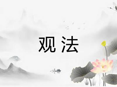 观法