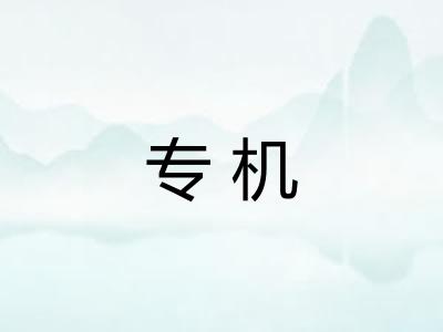 专机 专机