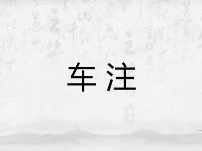 车注 车注