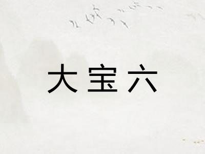 大宝六