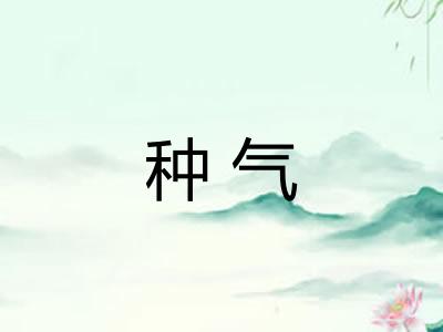 种气