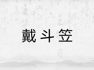 戴斗笠 戴斗笠