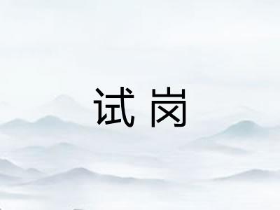 试岗