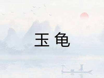 玉龟 玉龟
