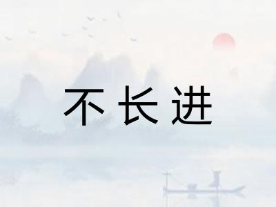 不长进