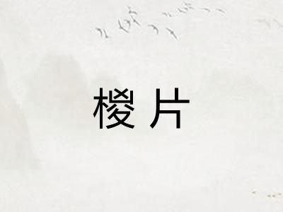 椶片 椶片