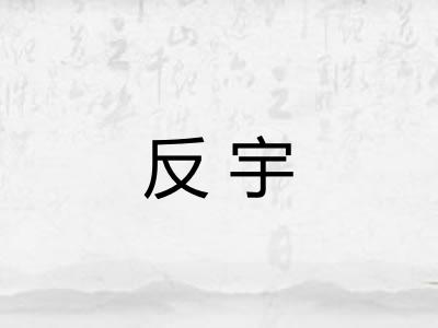 反宇 反宇