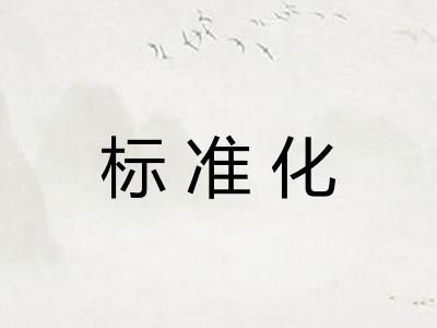 标准化