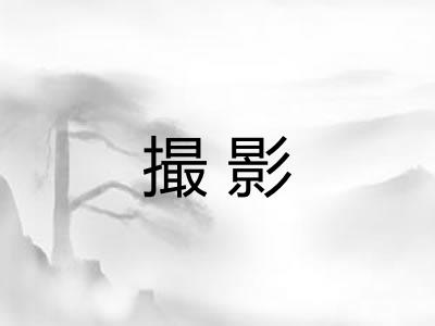 撮影 撮影