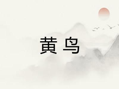黄鸟 黄鸟