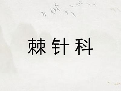 棘针科