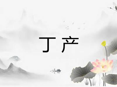 丁产 丁产