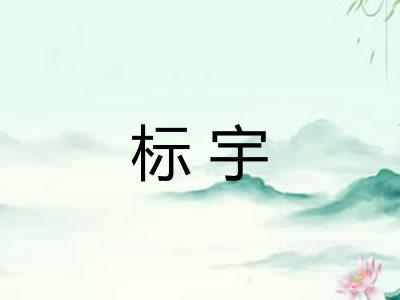 标宇