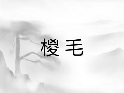 椶毛
