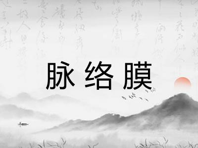脉络膜