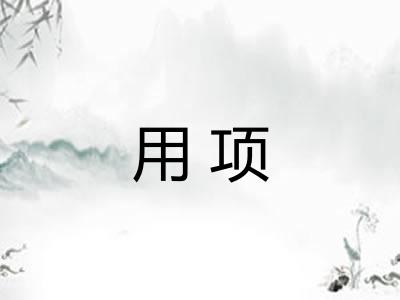 用项