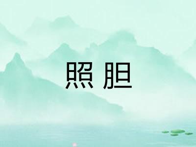照胆