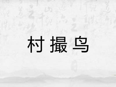 村撮鸟
