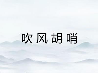 吹风胡哨