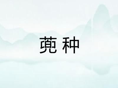 蔸种 蔸种
