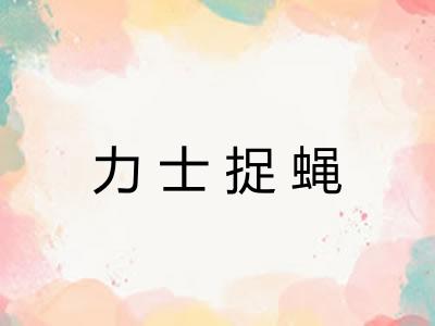 力士捉蝇 力士捉蝇