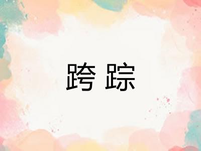 跨踪