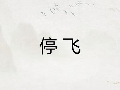 停飞